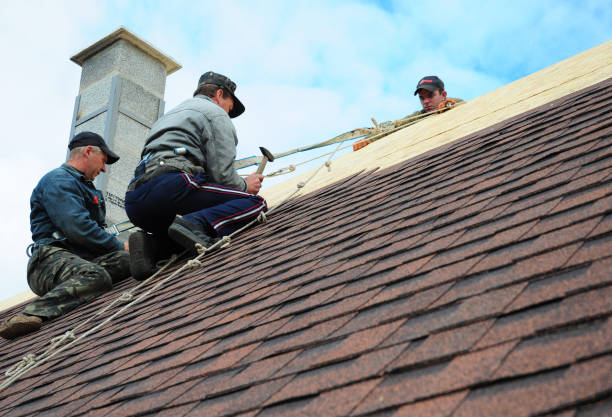 Best Storm Damage Roof Repair  in Cheraw, SC